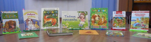 Загадки природы